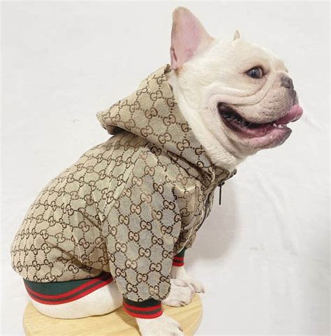 gucci animal clothing|gucci dog clothes wholesale.